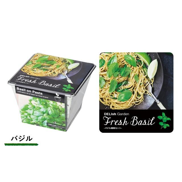 デリッシュガーデン 栽培キット 発芽保障 パクチー 新作アイテム毎日更新 コリアンダー ミニトマト ミント バジル 聖新陶芸 栽培セット 香草