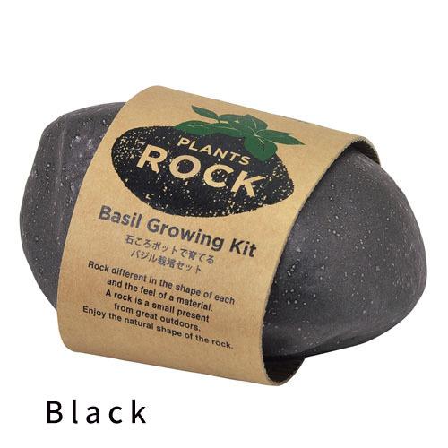 40％OFF ロックバジル GD806 栽培 キット セット プランツ 石 バジル ポット ギフト 聖新陶芸  PLANTS ROCK　プランツロック　バジル｜p-comfort｜03