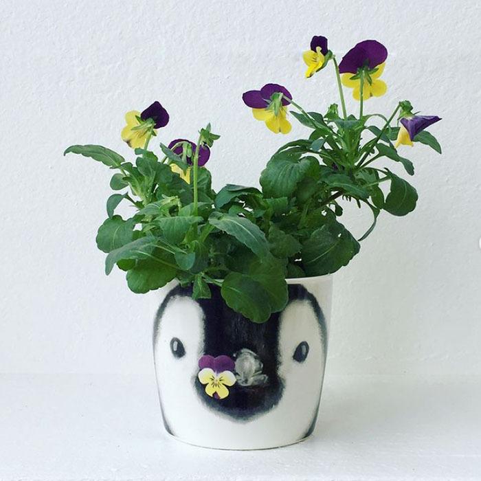 Hana Animals 栽培キット 発芽保障 ワイルドストロベリー 四つ葉のクローバー ビオラ ミニバラ 栽培セット 聖新陶芸 Gd858 プラスコンフォート 通販 Yahoo ショッピング