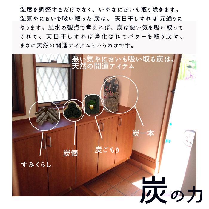 Story6月号掲載 風水 炭 備長炭 細丸1本 インテリア 玄関 お花 消臭 湿気取り ディスプレイ 空気 キレイ 浄化 お部屋 置き炭 インテリアに I 905 プラスコンフォート 通販 Yahoo ショッピング