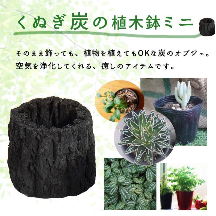 備長炭 炭 消臭 盆栽 苔アレンジ 玄関 国産 湿気取り くぬぎ炭 穴あき 植木鉢 鉢 プランター ミニ 観葉植物用 苔 ポット I 922 プラスコンフォート 通販 Yahoo ショッピング