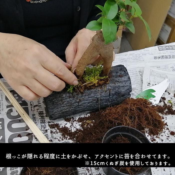 炭 消臭 盆栽 苔アレンジ 玄関 国産 湿気取り くぬぎ炭 穴あき 植木鉢 鉢 プランター ミニ 観葉植物用 苔 ポット I 922 プラスコンフォート 通販 Yahoo ショッピング