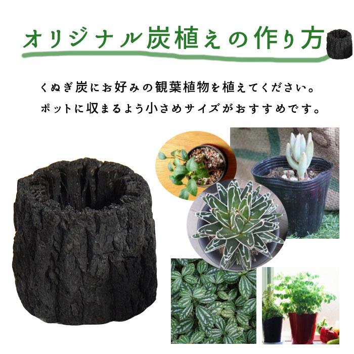 炭 消臭 盆栽 苔アレンジ 玄関 国産 湿気取り くぬぎ炭 穴あき 植木鉢 鉢 プランター ミニ 観葉植物用 苔 ポット I 922 プラスコンフォート 通販 Yahoo ショッピング