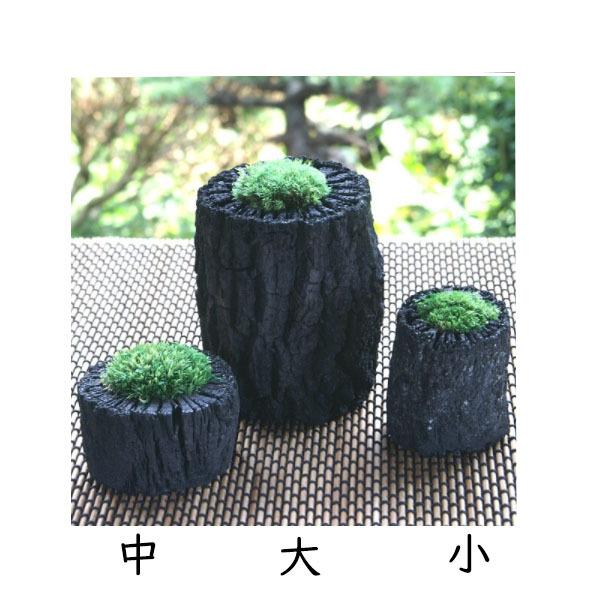 サイズ大 運気アップ 卸売り 炭苔インテリア 消臭 プリザーブド 炭花壇 お手入れの必要なし リビングに 夏 玄関に くぬぎ炭 ニオイとり お正月