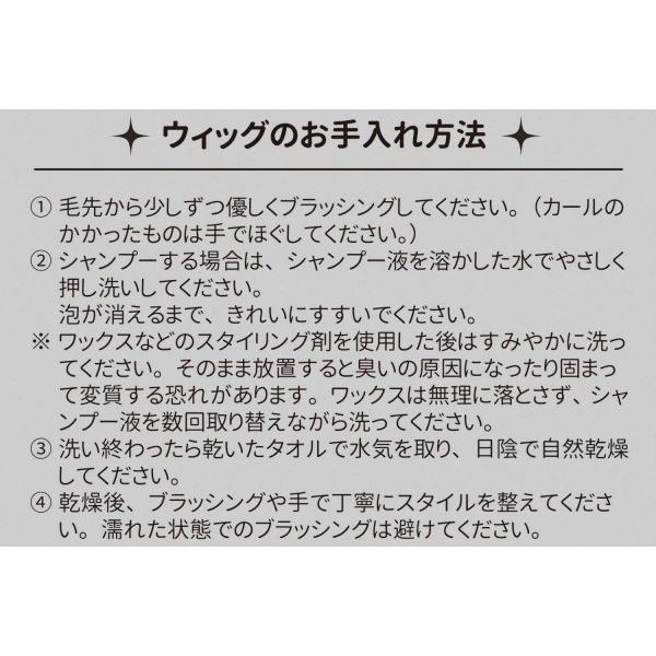 メンズウィッグ 男性用 かつら コスプレ ファッション イベント Wiggy メンズ Rich ブラック Sale 55 Off ヘアネット付き ナチュラルマッシュ