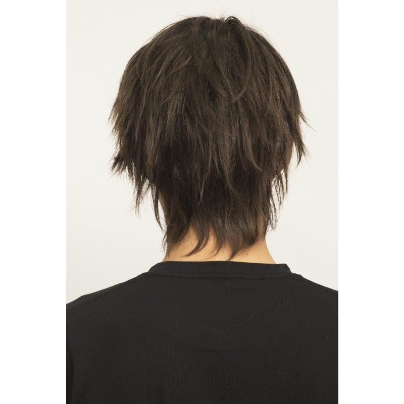 ヘアネット付き WIGGY RICH メンズ ベーシックショート ダーク