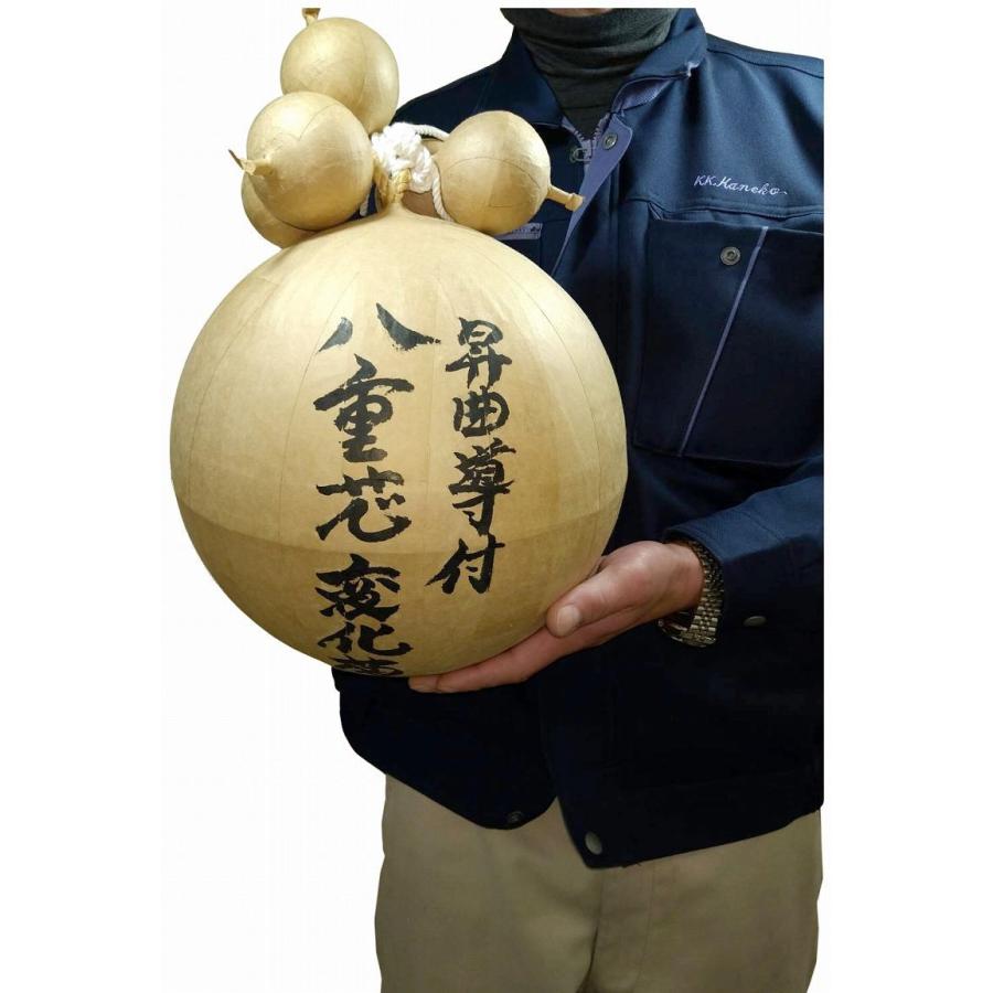 八重芯変化菊 花火 昇曲導付付き 花火玉 見本 /尺玉 レプリカ