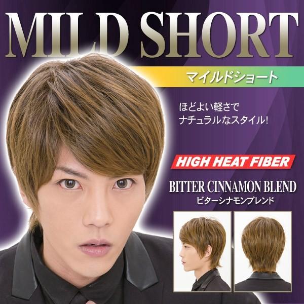 超特価激安 メンズウィッグ 男性用 かつら コスプレ ファッション イベント ラパンドアール ヘアネット付き マイルドショート ビターシナモンブレンド 34 代引不可 Turningheadskennel Com