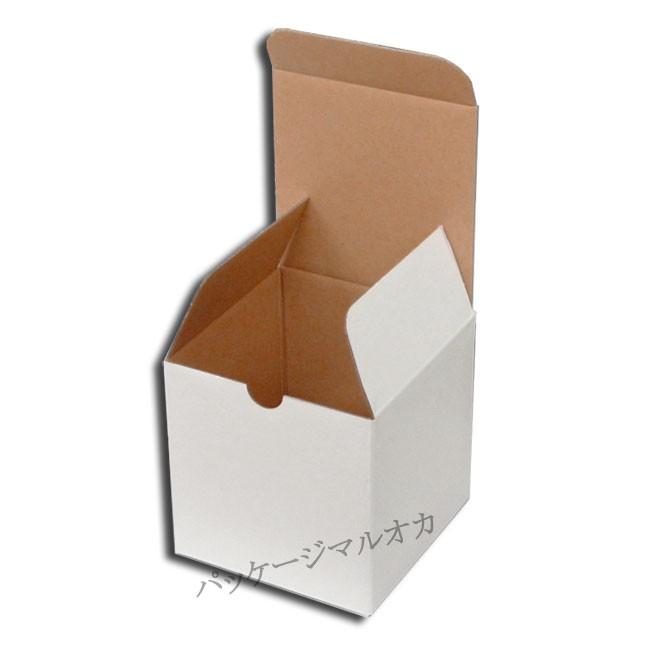 フリーボックス F-1 (100×100×100) サック式 (縦100 横100 高さ100 (サック式)) 100枚