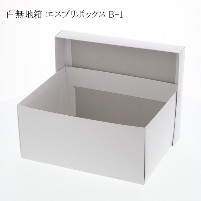 “送料無料/直送” エスプリボックス B-1 200×260×120 紙箱 (横200 縦260 高さ120) 120枚