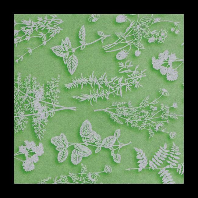 ブランド登録なし - “貨物輸送無料/丸岡さし出し” ラミペーパー 21cm×29.7珊 草本 A4大きさ (縦210 横297) 3000枚 文具、ステーショナリー-ラッピング用品-キッチン、日用品、文具