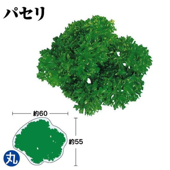 “送料無料/直送” “国産”グルメシート パセリ 丸 ( 約60Φ ) 5000枚