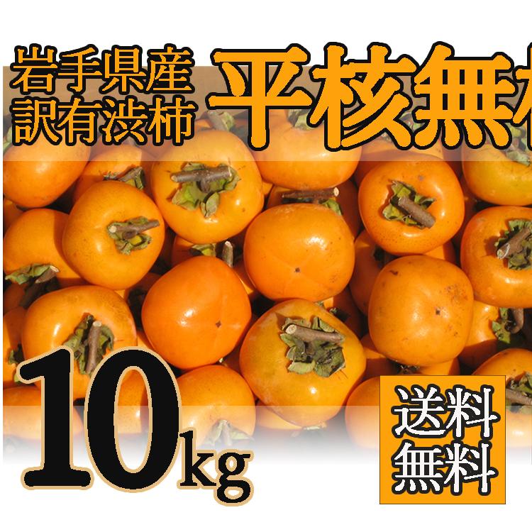 平種無し柿 渋柿 岩手県産 10kg : 岩手りんご - 通販 - Yahoo!ショッピング