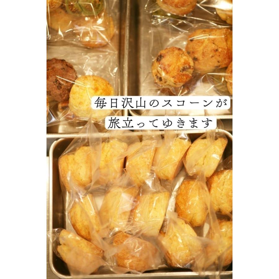 紅茶ホワイトチョコチップスコーン 2個入り 個包装 スコーン 紅茶ホワイトチョコチップスコーン 2個入り 個包装 スコーン