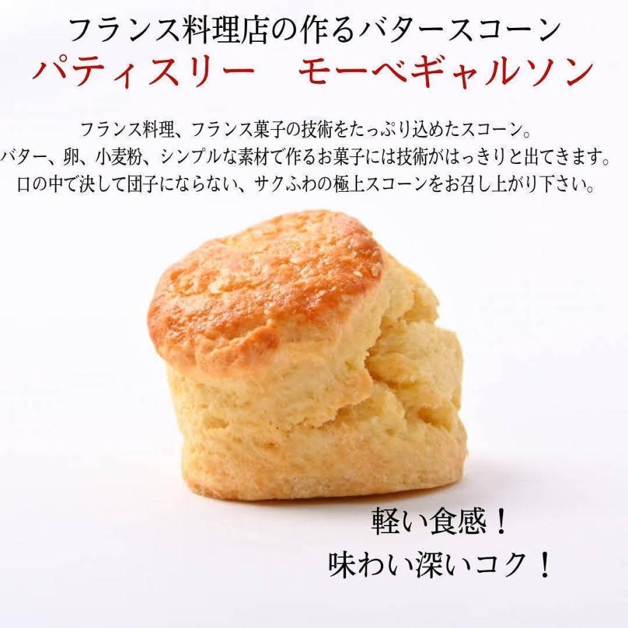 高品質新品 くるみレーズン スコーン ２個セット 焼き菓子 お菓子 スイーツ お取り寄せ 冷凍発送 おすすめ 人気 美味しい 贈り物 記念日 プレゼント M Artpassions Ch