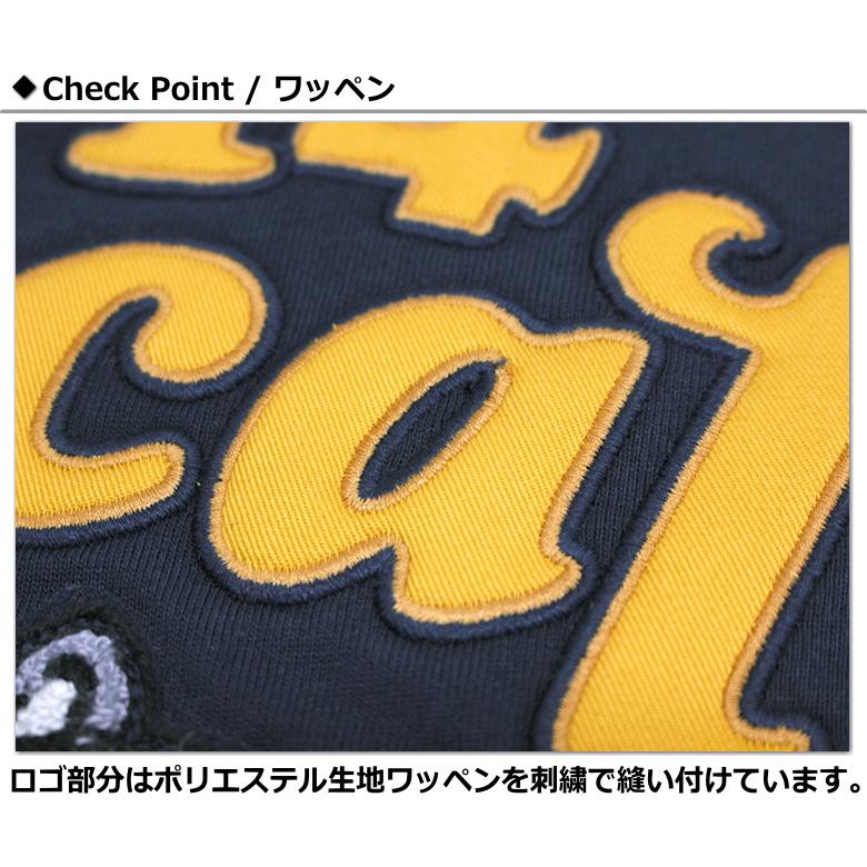 AVIREX（アヴィレックス） 10％オフ！アビレックス サガラ刺繍ワッペン