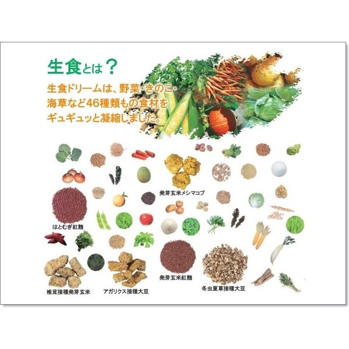 生食ドリーム 46（送料無料 お試し価格）生食ドリーム 46 無農薬 