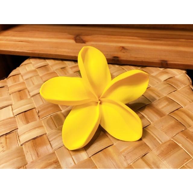 プルメリアピック タイプq ｌサイズ 黄色 Pick Puel14 P Para 通販 Yahoo ショッピング