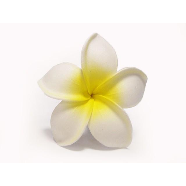 プルメリアピック タイプ４ 白 黄色 Pick024 P Para 通販 Yahoo ショッピング
