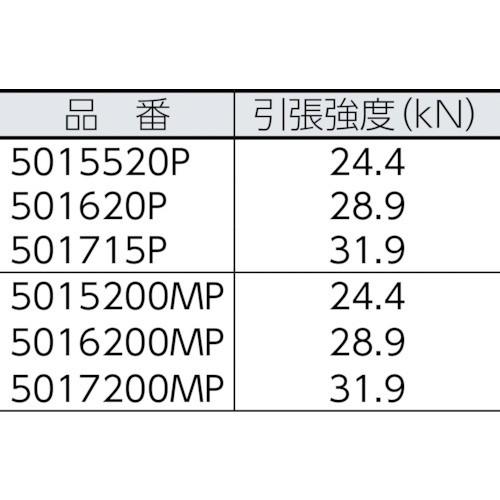 BlueWater　ブルーウォーター2ドプラス　10.5φ×200m　5016200MP