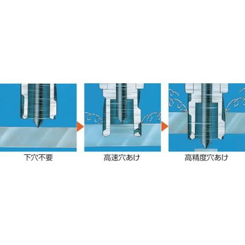 日東　アトラエース　クイックオート　QA6500