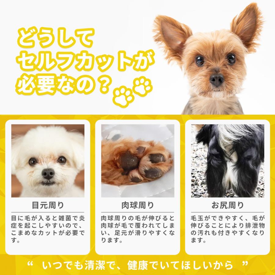 トリミングシザー 犬 ハサミ 安全 カット はさみ セット ストレート カーブ すきばさみ すきバサミ スキバサミ コーム ケース付き Pet 1002 Petit Planet Yahoo 店 通販 Yahoo ショッピング