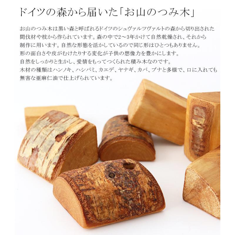 積木 おもちゃ ドライブラッター Drei Blatter お山のつみ木 : 北欧