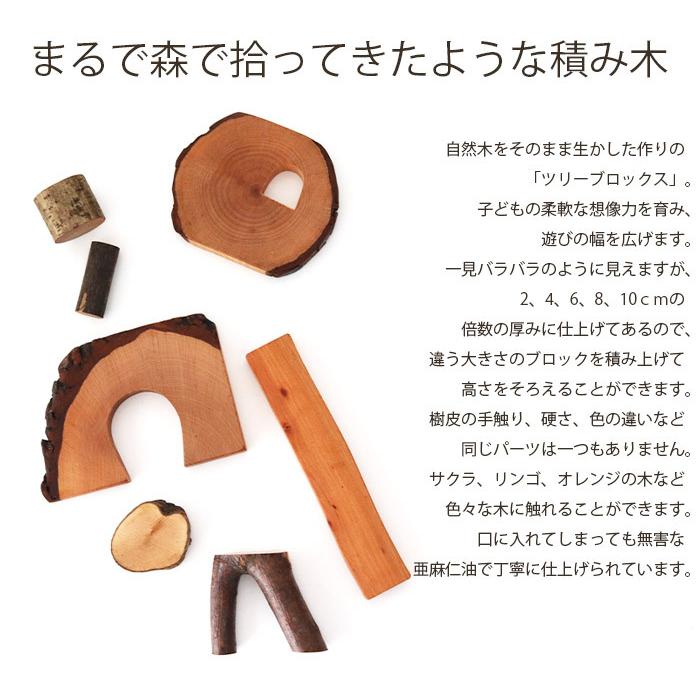 ROKX（ロックス） 積木 おもちゃ ツリーブロックス マジックウッド社