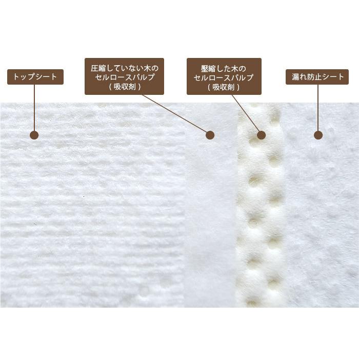 【調整中】C14  ペーパーナプキン2点セット(880) Pioneer 6箱セット 生理用 ナプキン natra care ナトラケア