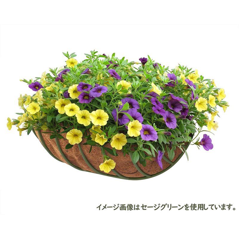 人気商品!】タカショー(Takasho) ストリーム ウォールハンギングバスケット S クリーム 護身用品 タカショー(Takasho) ウォールハンギングバスケット M