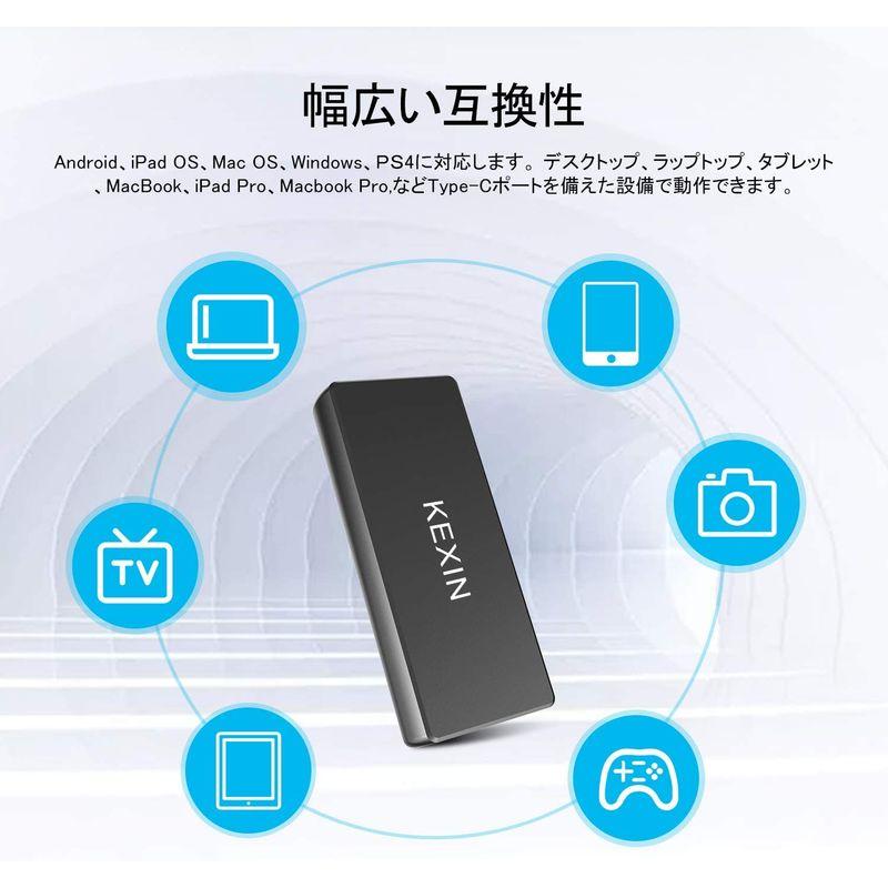 RAOYI 外付SSD 1TB USB3.1 Gen2 ポータブルSSD 超ミニSSD 転送速度550MB 秒(最大) Type-Cに対応 外付けハードディスク、ドライブ 