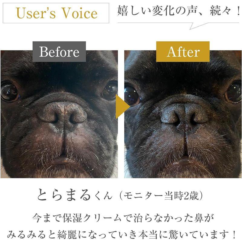 MIRANEST 犬用 ふりかけ サプリメント ‐ ミラネストパウダー ｜ アナツバメの巣 ペット用 パウダー 保健成分 シアル酸 糖鎖栄養｜p-select-market｜06