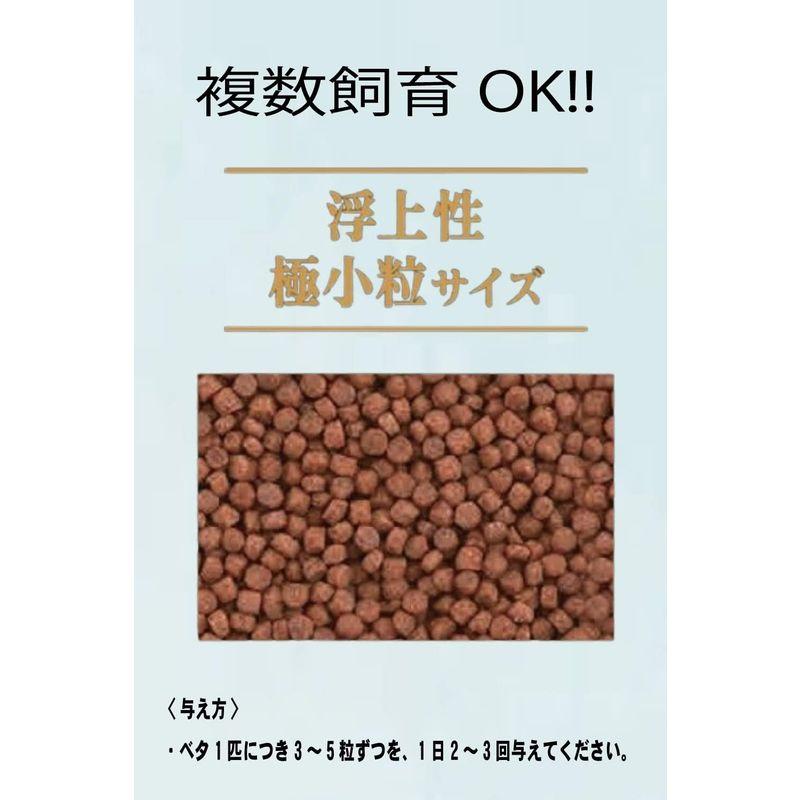 GEX ベタフード 20g ベタ 熱帯魚 餌 2個セット と 餌やりスプーン｜p-select-market｜07