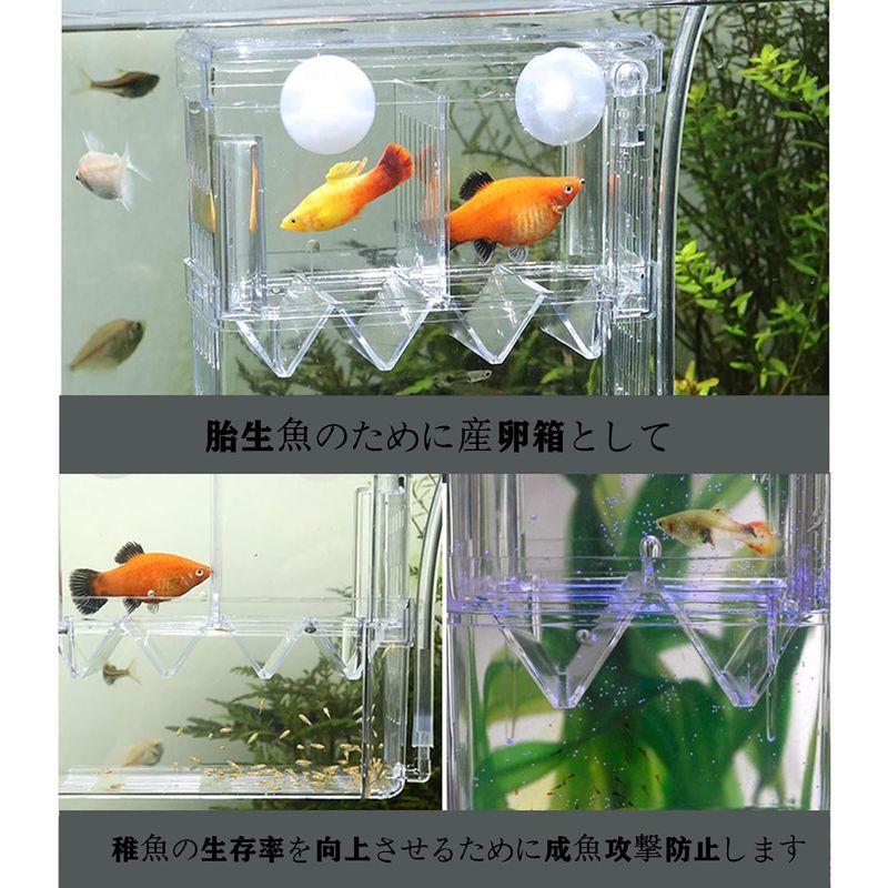 Yurika 魚 繁殖隔離ボックス 2段式2箇所 産卵ケース 透明 エビメダカ孵化産卵箱 多機能 グッピー 稚魚 隔離 飼育保護 水族館アク｜p-select-market｜06