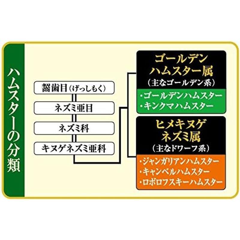 GEX ジェックス ハムスタープレミアムフード ゴールデン専用 国産 草食傾向の強い食性に合わせて栄養設計 400g｜p-select-market｜07