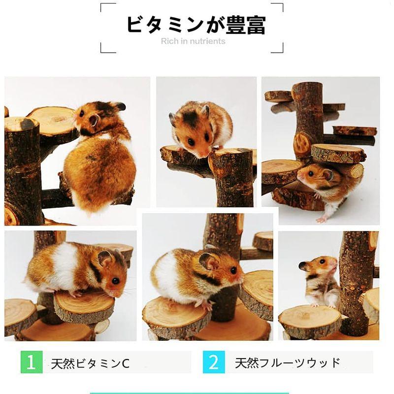 MUYYIKA ハムスター おもちゃ 小動物噛む用おもちゃ 天然木製 階段 あそび道具 かじりき木 遊具 デグー モルモット ハリネズミ チ｜p-select-market｜03