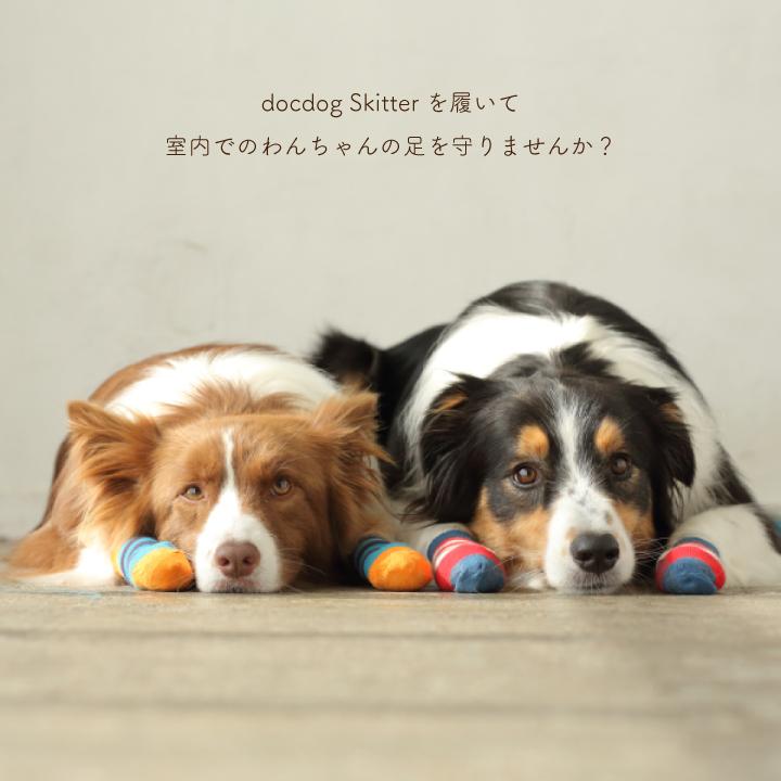 Docdog Skitter スキッター 犬用靴下 室内用 犬 靴下 ペット 滑り止め 保護 災害 防寒 怪我 介護 かわいい おしゃれ ソックス アスファルト 履かせやすい Dd1 P Star 通販 Yahoo ショッピング
