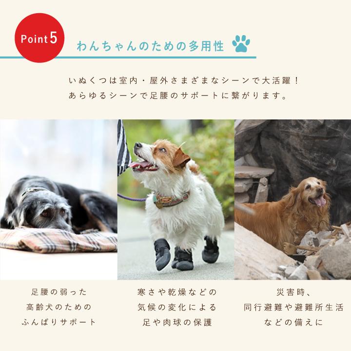 docdog 犬用靴 屋外用 / 犬 靴 ペット 滑り止め 保護 災害 防寒 怪我 介護 かわいい おしゃれ アスファルト アウトドア 登山 キャンプ【いぬくつ】【DD3】 |  | 06