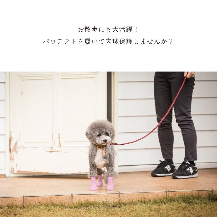 パウテクト SSサイズ 2セット 【公式通販】
