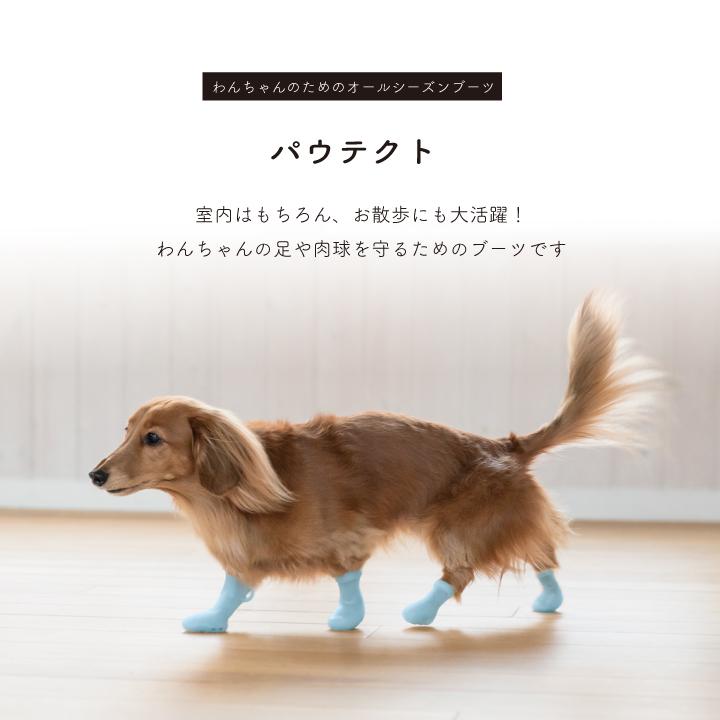 パウテクト 晴れの日用 通気孔タイプ S M Lサイズ 犬 靴下 靴 足 オールシーズン おしゃれ ペット ケガ 雨靴 レインシューズ 雪 床 保護 肉球 散歩 Paw 3 P Star 通販 Yahoo ショッピング