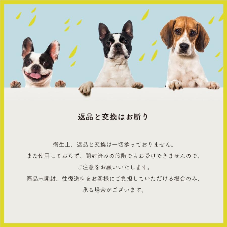 パウテクト 雨の日用 レインブーツ （S、M、Lサイズ） / 犬 靴 足