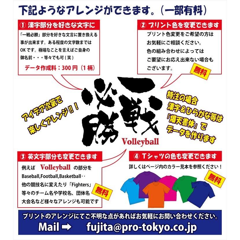 送料無料 メール便 バレーボール 文字プリントｔシャツ 疾風迅雷 他 デザイン確定から発送まで約1週間 色々なアレンジが可能です 1225 Vol08 P Style777 通販 Yahoo ショッピング