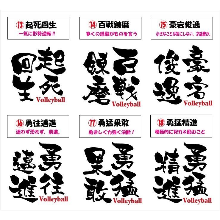 送料無料（メール便）バレーボール「文字プリントTシャツ（一球入魂