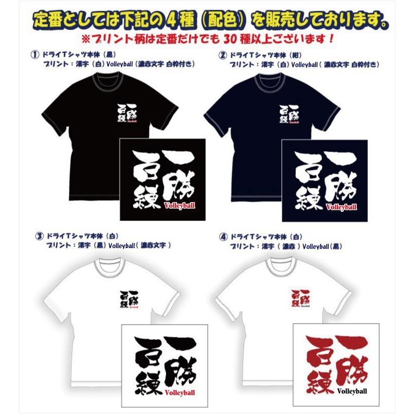 送料無料（メール便）バレーボール「文字プリントTシャツ（全員排球