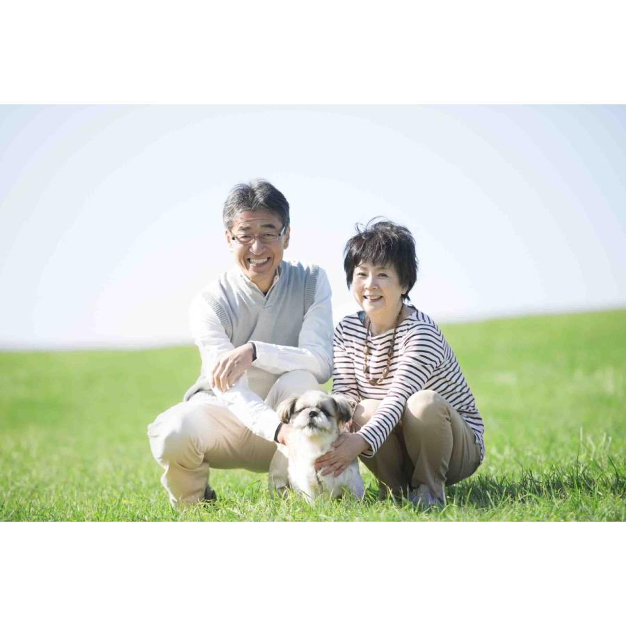 グリーンチャージ 得得２本セット 犬猫用ユーグレナ ペットサプリ 和名ミドリムシ パラミロン免疫力up 必須アミノ酸 59種の栄養 効率吸収 ミドリムシ 1002 21 D Jupiter 通販 Yahoo ショッピング