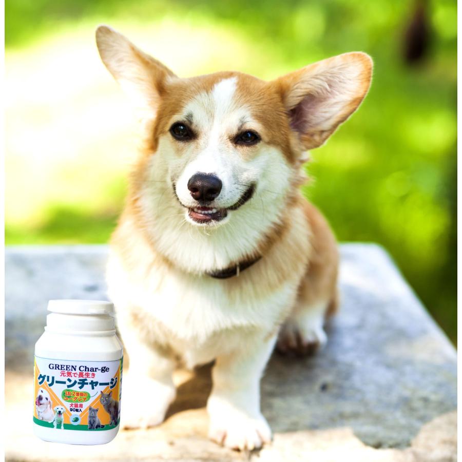 グリーンチャージ 得得２本セット 犬猫用ユーグレナ ペットサプリ 和名ミドリムシ パラミロン免疫力up 必須アミノ酸 59種の栄養 効率吸収 ミドリムシ 1002 21 D Jupiter 通販 Yahoo ショッピング