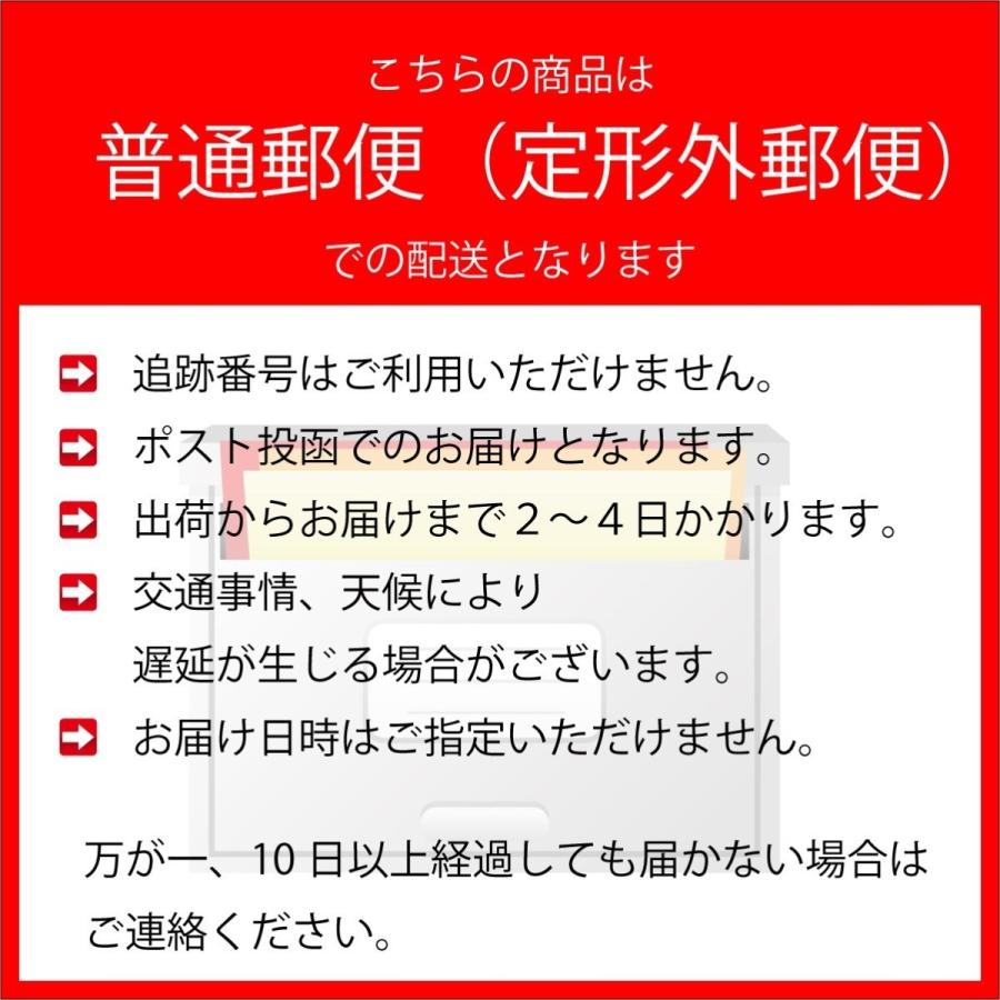 iPhone SE (2020) 第二世代 (2022) 第三世代 手帳 手帳型 ケース 編み込み 編込み 送料無料 スマホケース カバー 手帳型ケース 耐衝撃 革 レザー SIMフリー｜p2factory｜26