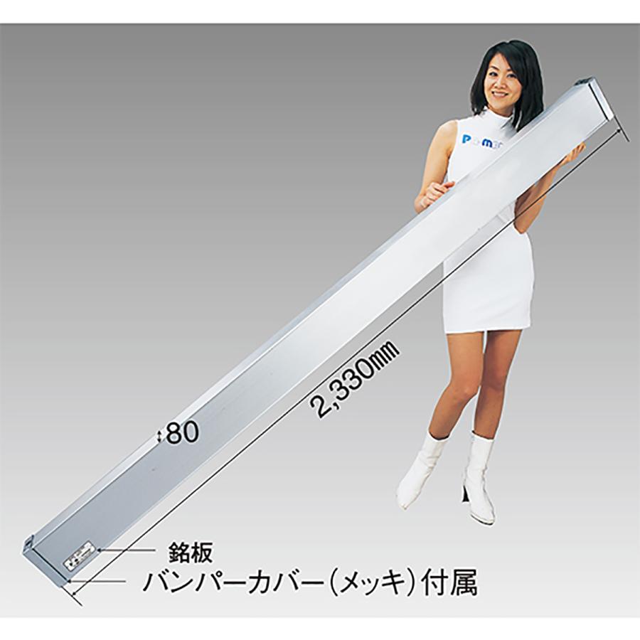 リアバンパー 大型トラック用 アルミ バンパーカバー(メッキ)付 [適用 