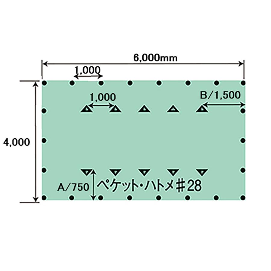 トラック平シート 合繊 ペケット付 巾4m×長さ6m 荷台シート グリーン 