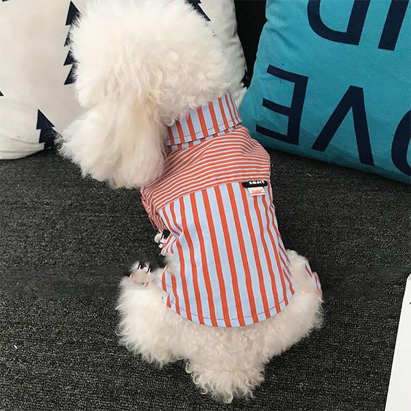 おしゃれなカラーワイシャツ　犬服 ペット 服　ドッグウェア 犬猫兼用 ワンちゃん用　ペット用品 ネコ雑貨｜pa-shop｜02